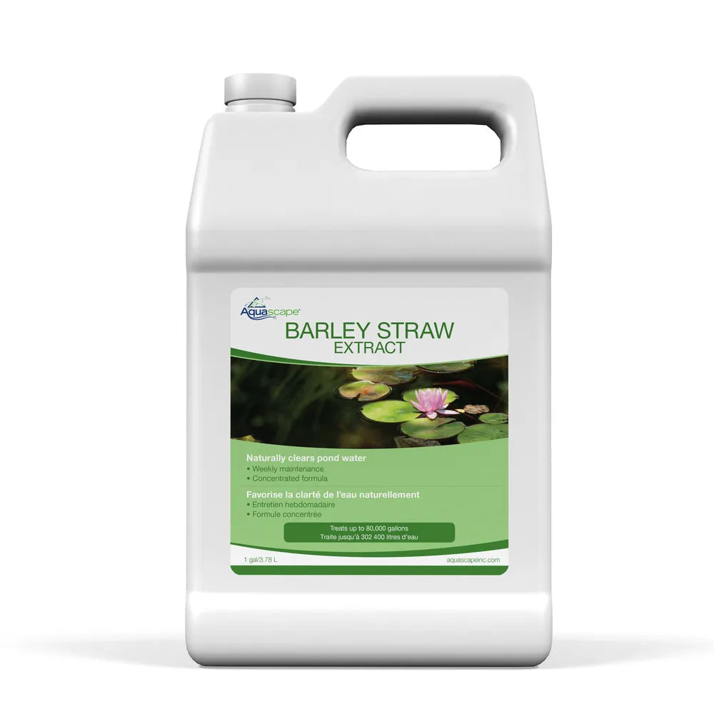 Organic Barley Straw Extract Powder - Natural Supplement for Detox & Skin Health - Perfect for Smoothies, Teas & Wellness Routines
