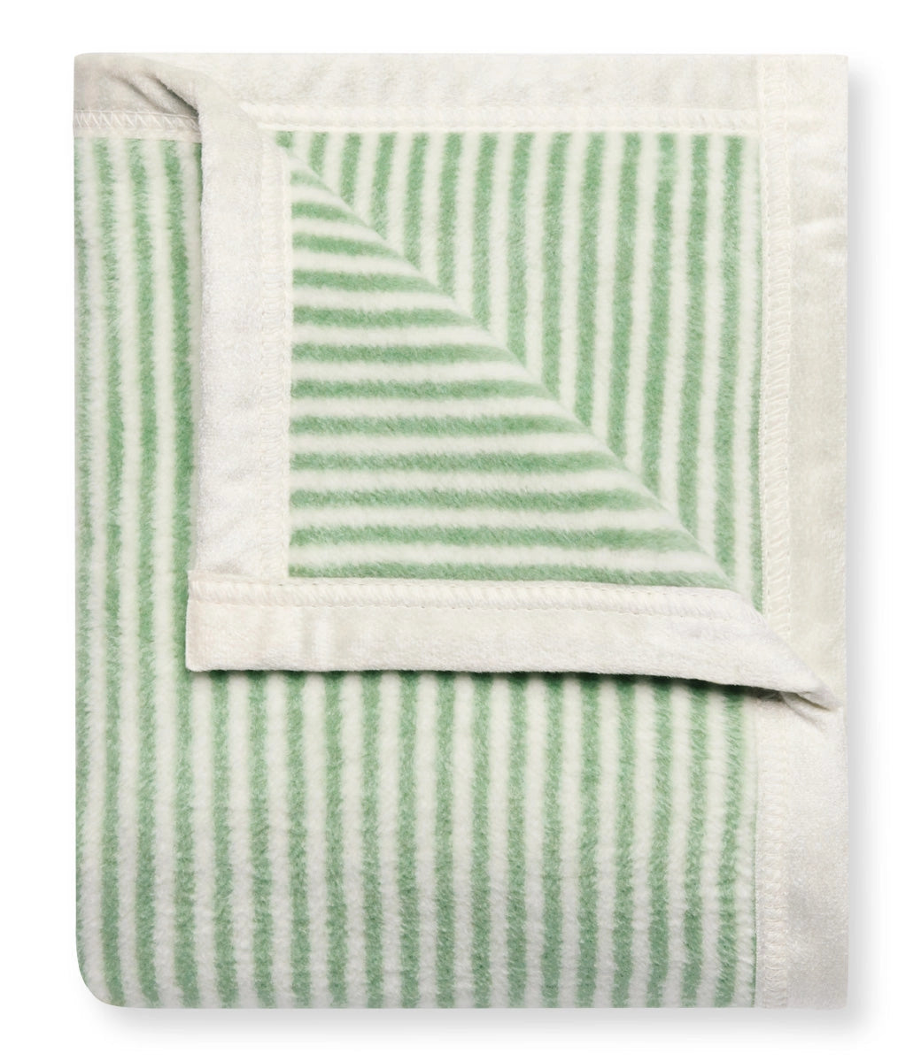 Organic Micro Greens Seeds - Non-GMO Mini Blanket for Indoor Gardening | Perfect for Salads, Smoothies & Healthy Meals
