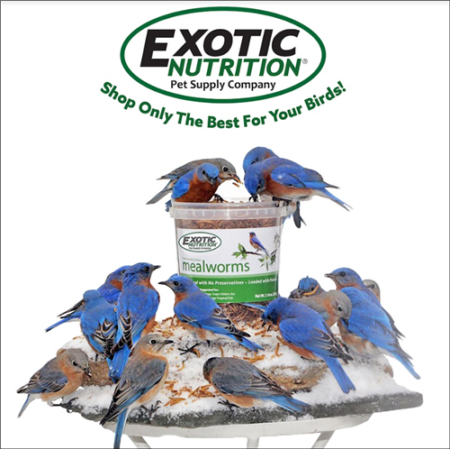 5 lb Mealworms & 5 lb Grub Worms Combo Pack - Premium Live Bait for Fishing, Bird & Reptile Feeding - Perfect for Outdoor Adventures & Pet Nutrition