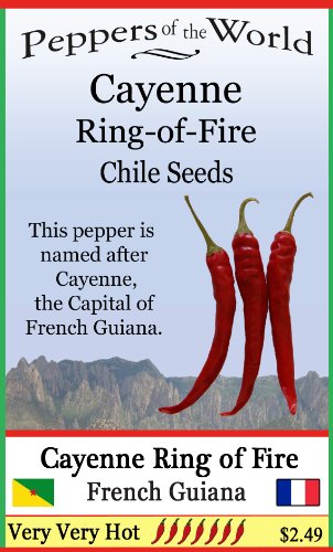 Heirloom Cayenne Ring-o-Fire Hot Chili Pepper Seeds - Pack of 30 - Extremely Spicy for Cooking, Gardening & Homemade Hot Sauce