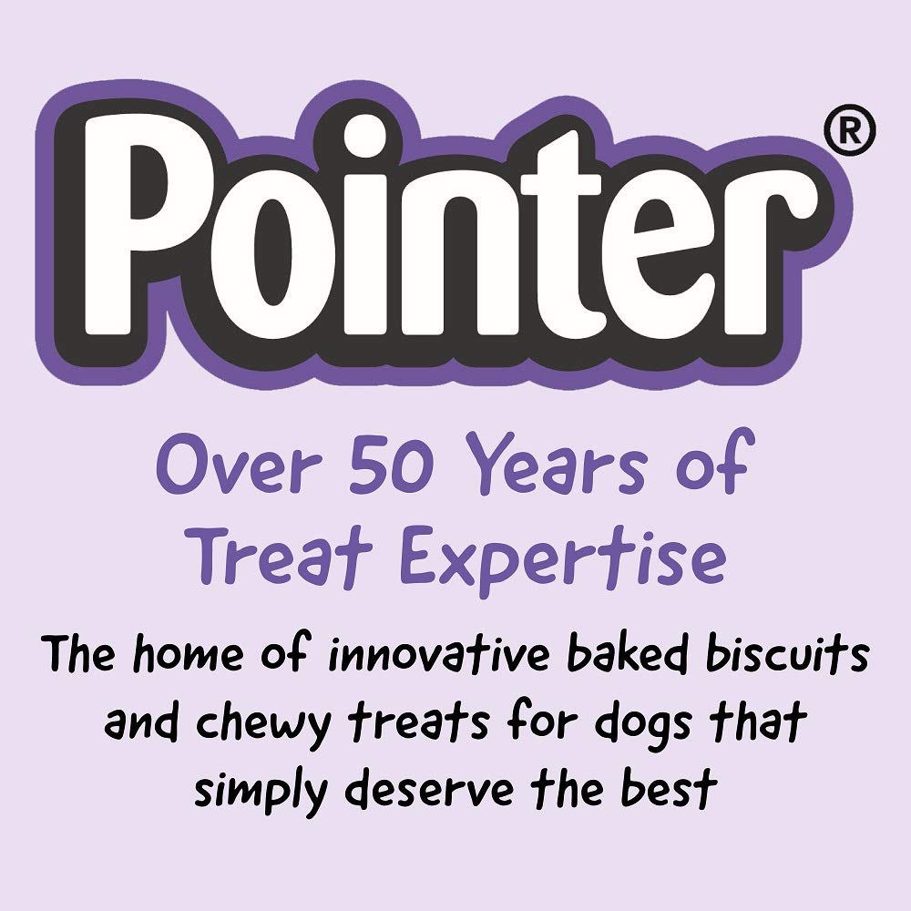 Pointer Beef Flavor Gravy Bones - Natural Dog Treats for Training & Rewards, High-Protein Chews for Dental Health, 1.5kg Bag - Perfect for Playtime & Bonding with Your Pet