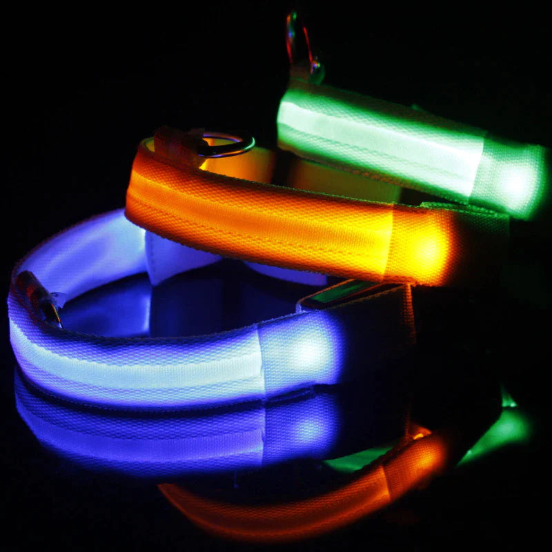Waterproof LED Adjustable Dog Collar with Blinking & Flashing Lights - Glow Pet Safety Collar for Night Walks, Jogging & Outdoor Adventures