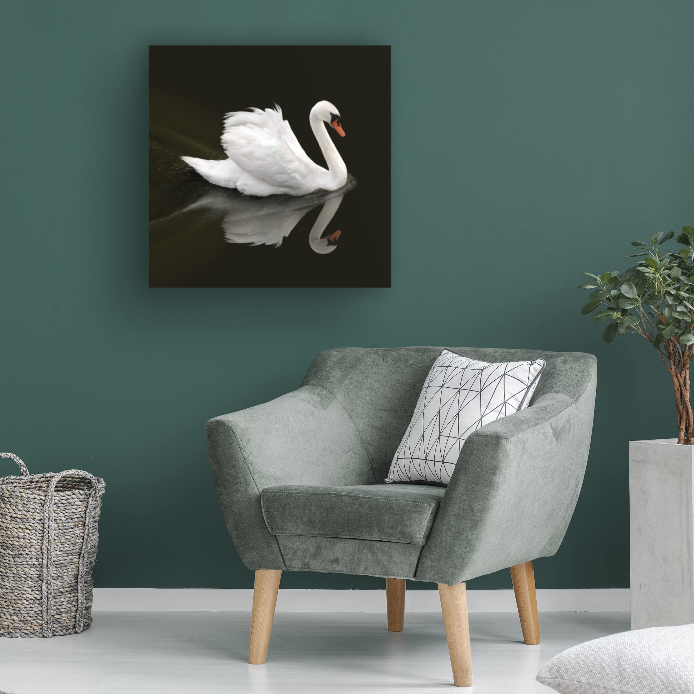 Ben Heine 'Swan 1' Canvas Wall Art Print - Modern Home Decor for Living Room, Bedroom & Office - Trademark Fine Art Collection