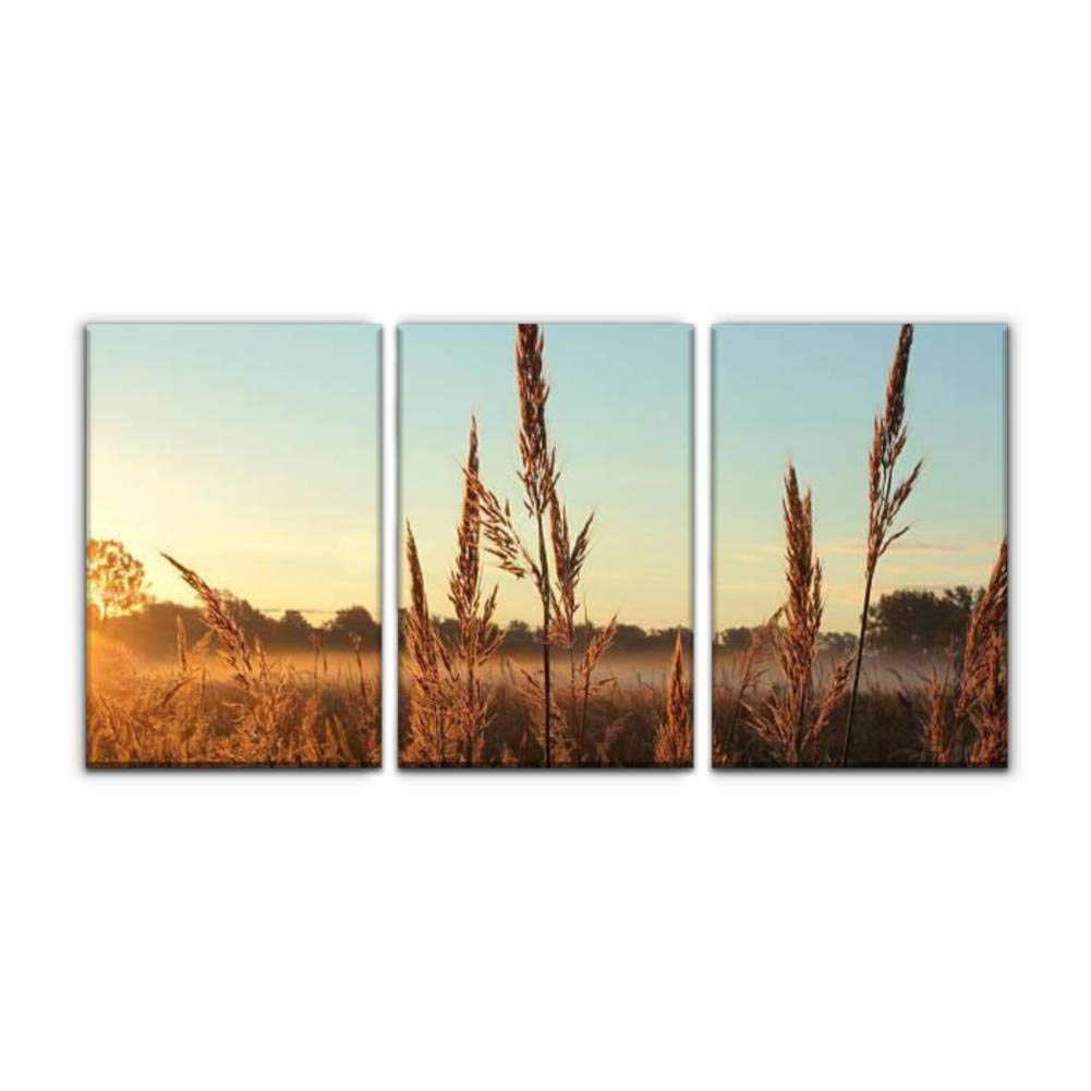 Gracelapin Modern Canvas Wall Art - Set of 3 Framed Prairie Landscape Paintings (16x24 Inches) - Big Bluestem Grass & Sunrise Oil Painting Prints for Home, Office, Bedroom Decor | Perfect for Living Room, Dining Area & Office Spaces