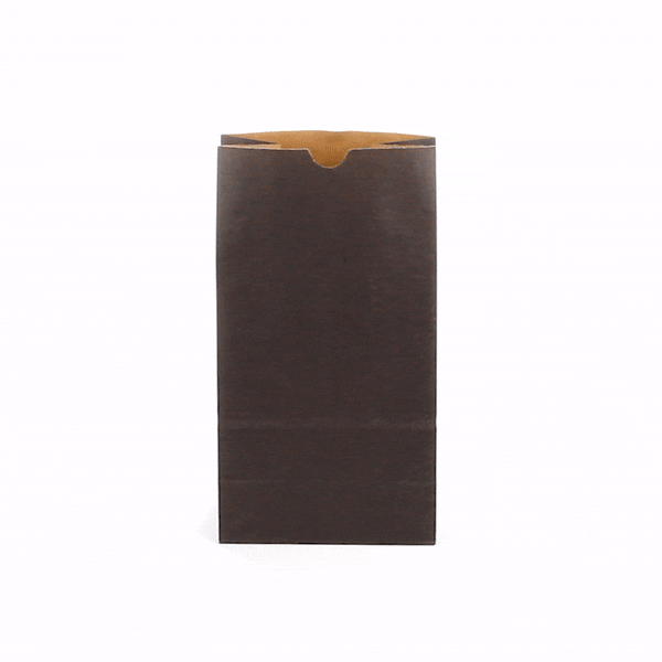 Premium Black Paper Bags 6 lb Capacity - 6 x 3.5 x 10.75 Inches - Pack of 100 - Eco-Friendly Gift & Retail Packaging for Parties, Stores & Takeout
