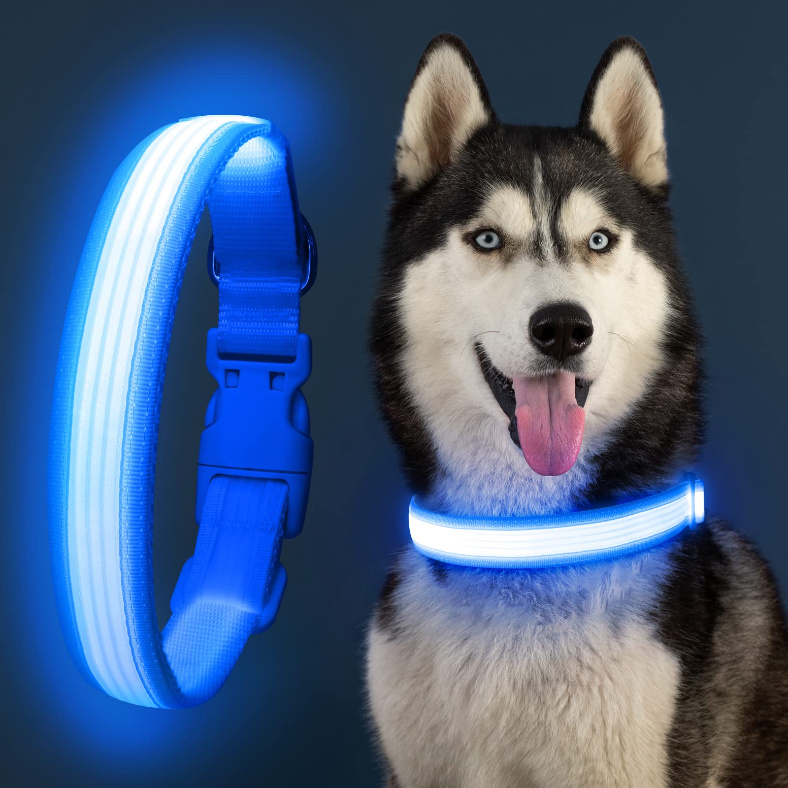YFbrite USB Rechargeable LED Dog Collar - Super Bright Adjustable Glowing Collar for Night Walking, Safety & Visibility - Blue Large Size | Perfect for Evening Walks, Jogging, Camping & Outdoor Adventures