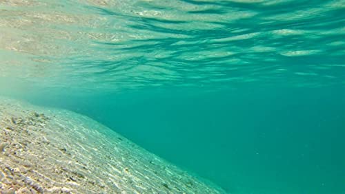 Sea Floor