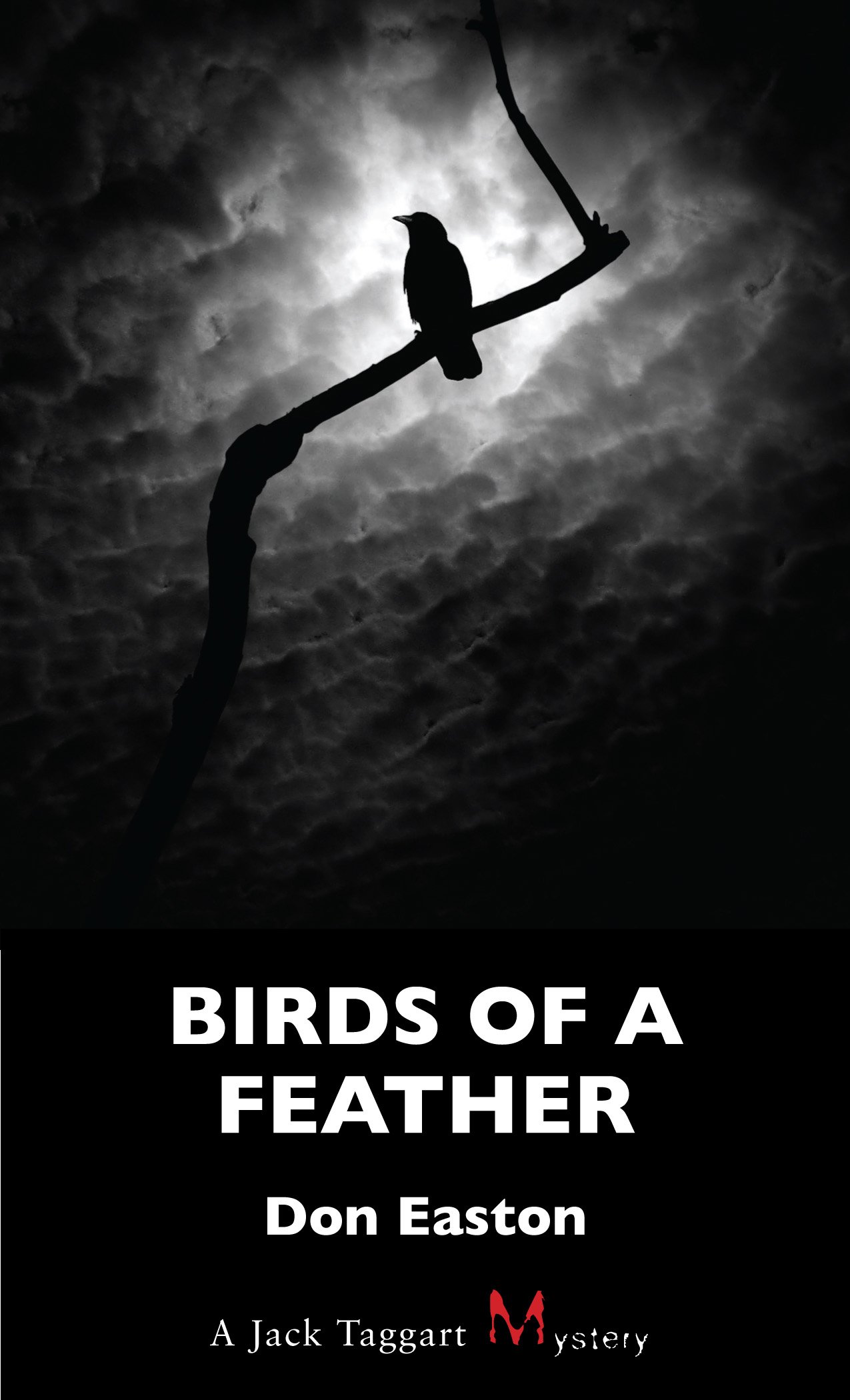 Birds of a Feather: A Jack Taggart Mystery (Book 6) - Crime Thriller Novel for Adults | Perfect for Mystery Lovers & Book Club Discussions