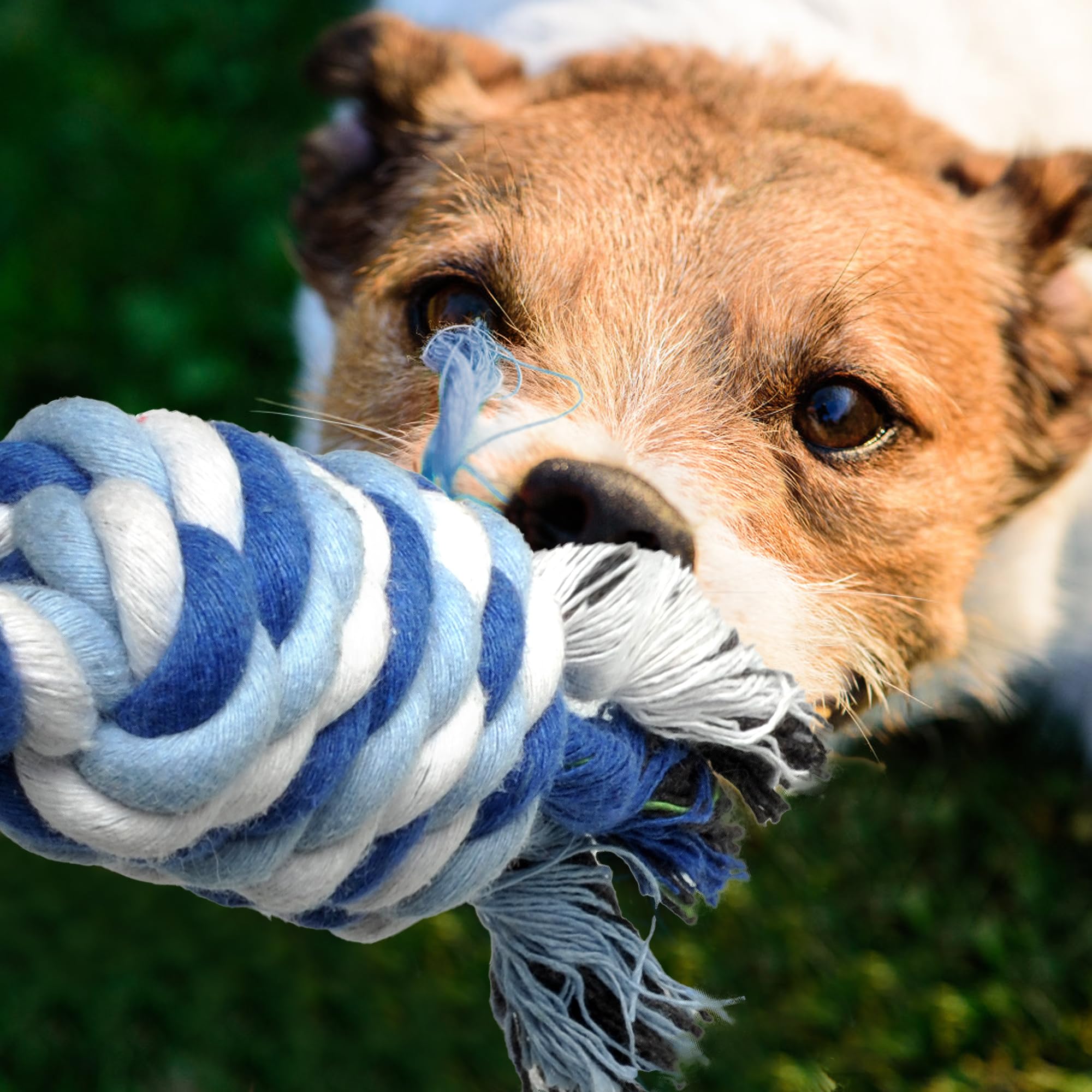 Durable 4 Pack Dog Rope Toys for Small & Medium Dogs - Indestructible Puppy Chew Toys for Aggressive Chewers - Great for Tug of War, Teeth Cleaning & Boredom Relief - Perfect for Playtime, Training & Dental Health