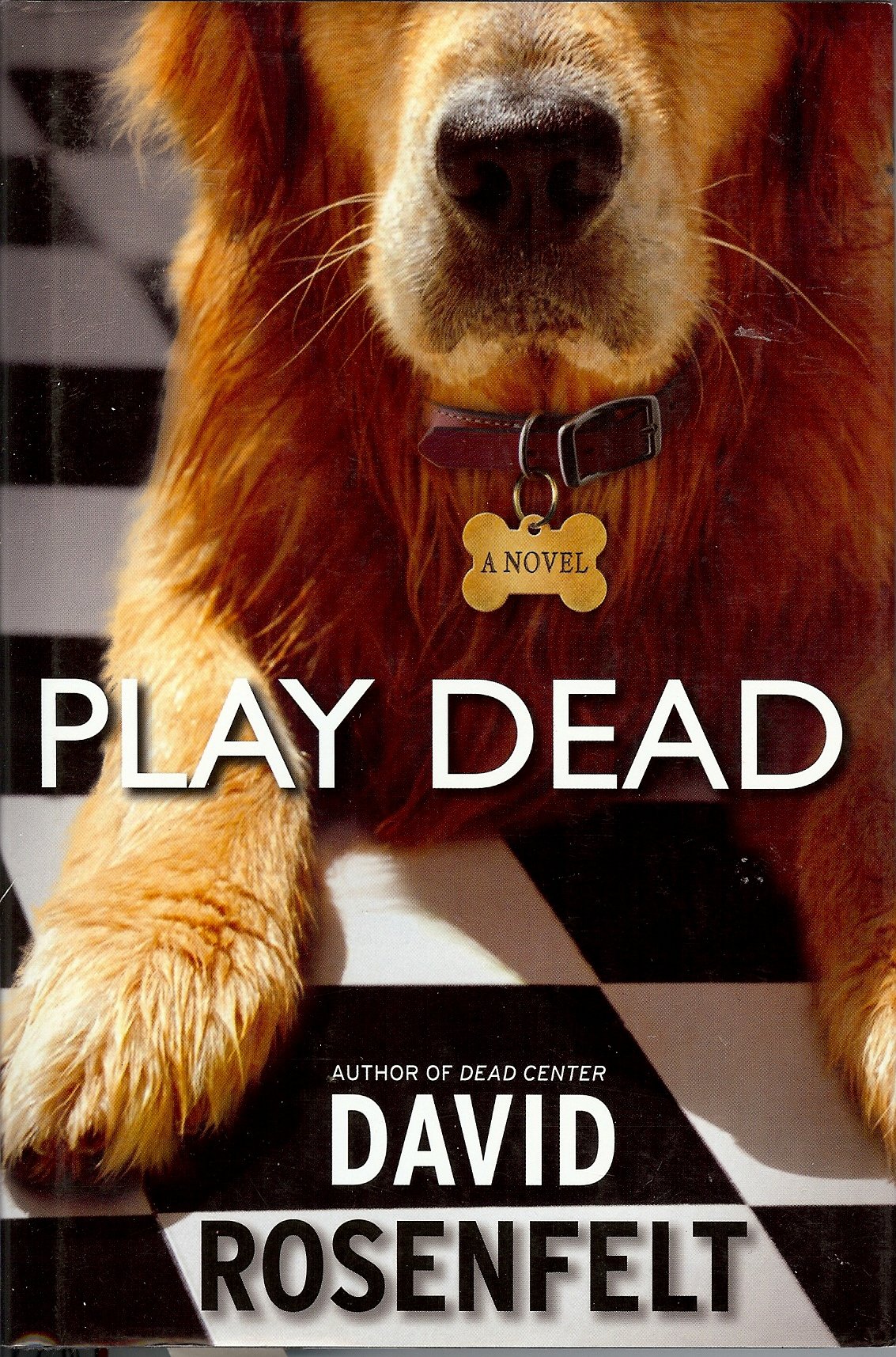 Play Dead: A Suspenseful Crime Thriller Novel - Perfect for Mystery Lovers & Book Club Discussions
