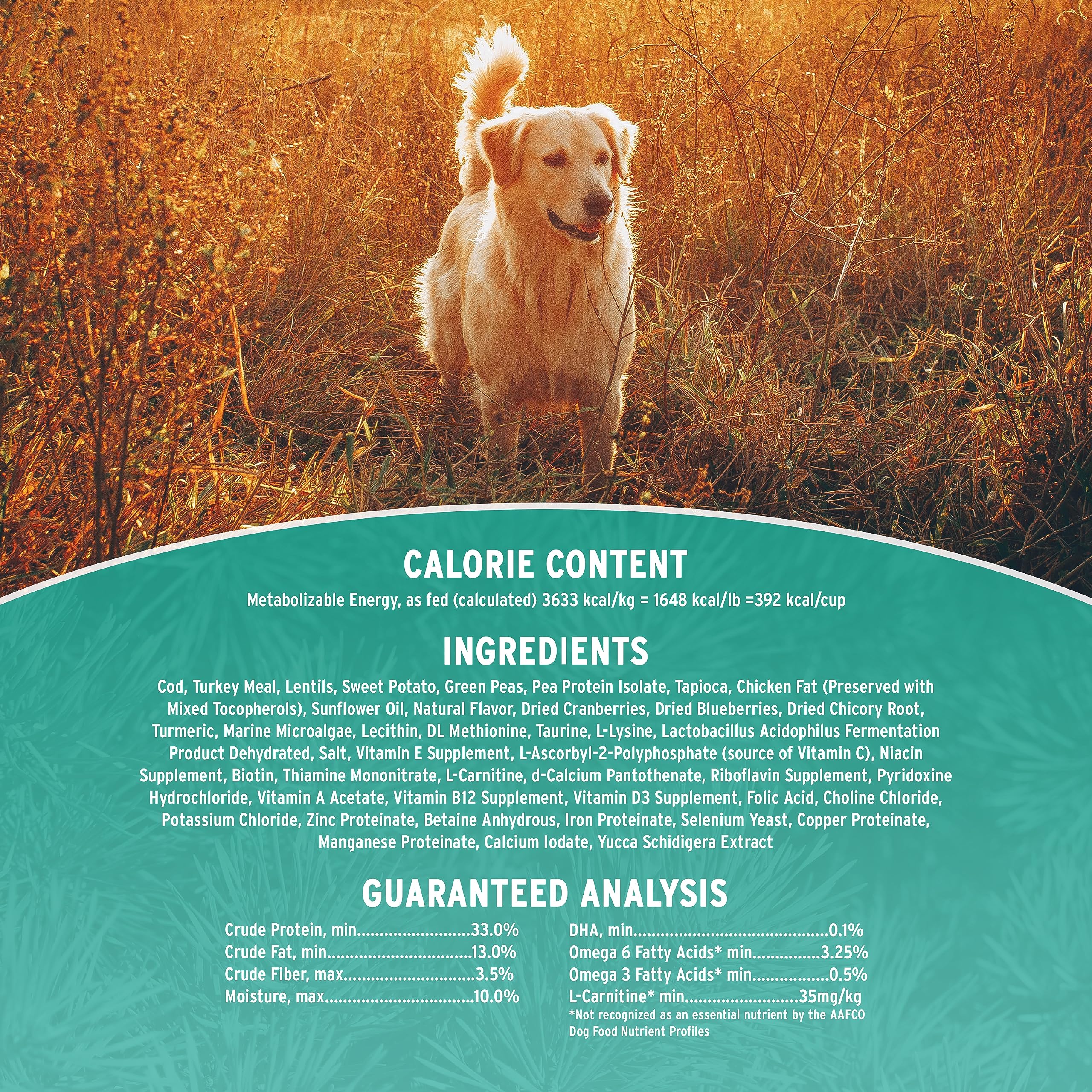 Annamaet Grain-Free Sustain Formula Dry Dog Food - Line-Caught Cod & Free-Range Turkey Recipe, 25 lb Bag - High Protein Nutrition for Active Dogs & Sensitive Stomachs