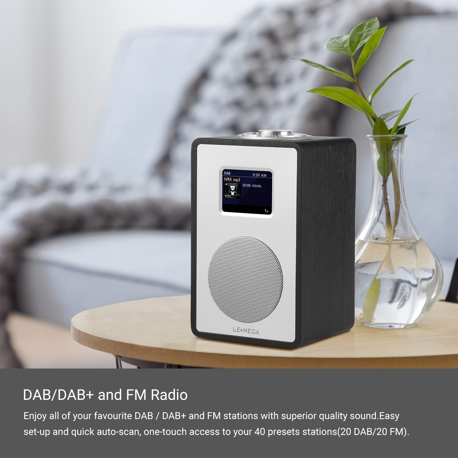 LEMEGA CR4 DAB/DAB+/FM Digital Radio with Bluetooth | Portable Wireless Radio with Mains/Battery Power | Dual Alarm Clock with Snooze | Color LCD Display | Wooden Effect (Black Oak) | Perfect for Bedroom, Kitchen & Travel