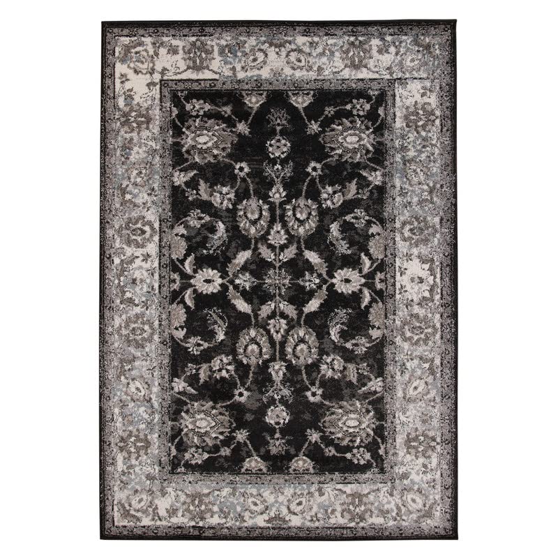 Premium Amer Rugs Area Rug - Soft Polyester & Polypropylene Power Loom Carpet for Farmhouse, Living Room, Bedroom & Kitchen Decor - Boho, Persian, Oriental, Vintage & Classic Styles - Perfect for Cozy Home Makeovers and Interior Design Projects