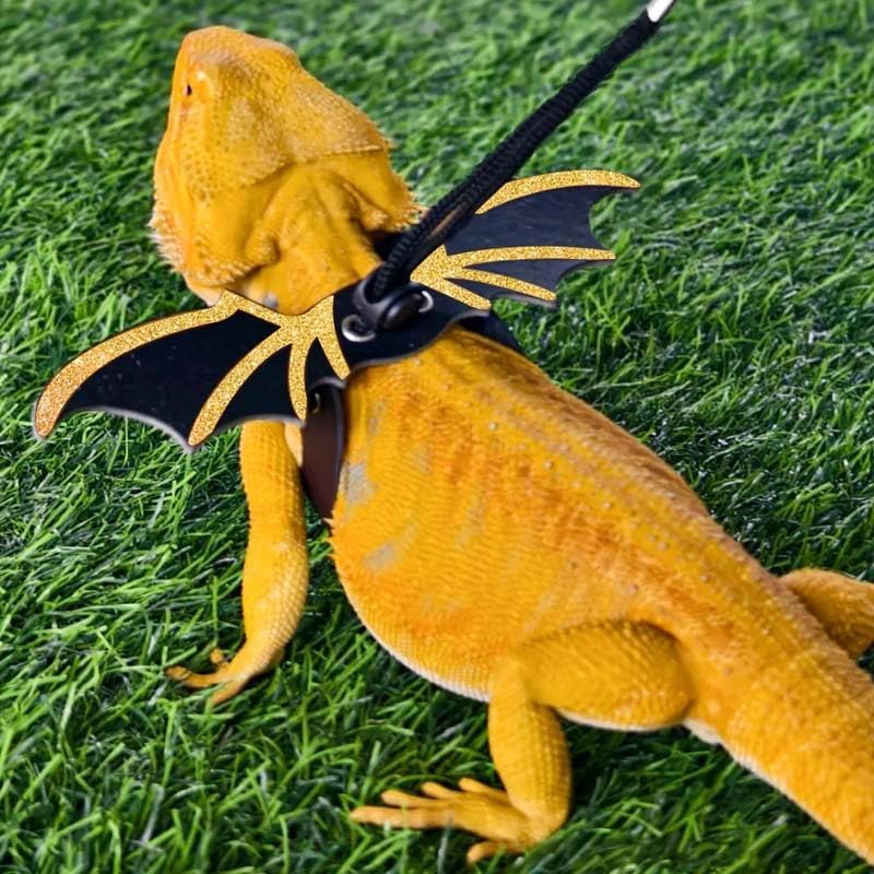 2 Pcs Bearded Dragon Leash and Harness Set - Adjustable Reptile Walking Accessories with Wings for Safety | Perfect for Outdoor Adventures, Park Visits, and Safe Exploration
