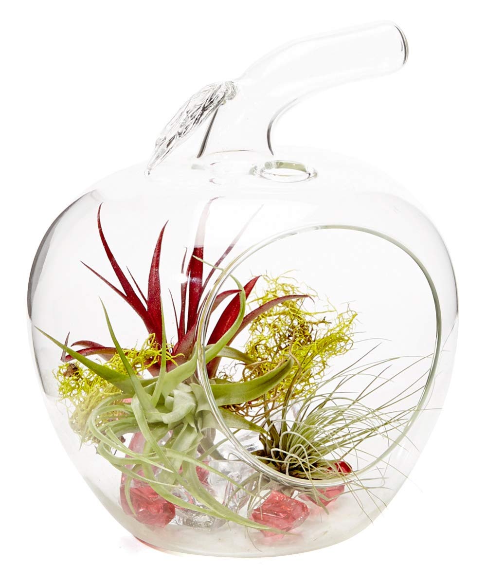 Clear Apple-Shaped Glass Ornament for Home Decor - Perfect for Christmas Tree, Holiday Decorations, and Gift Giving