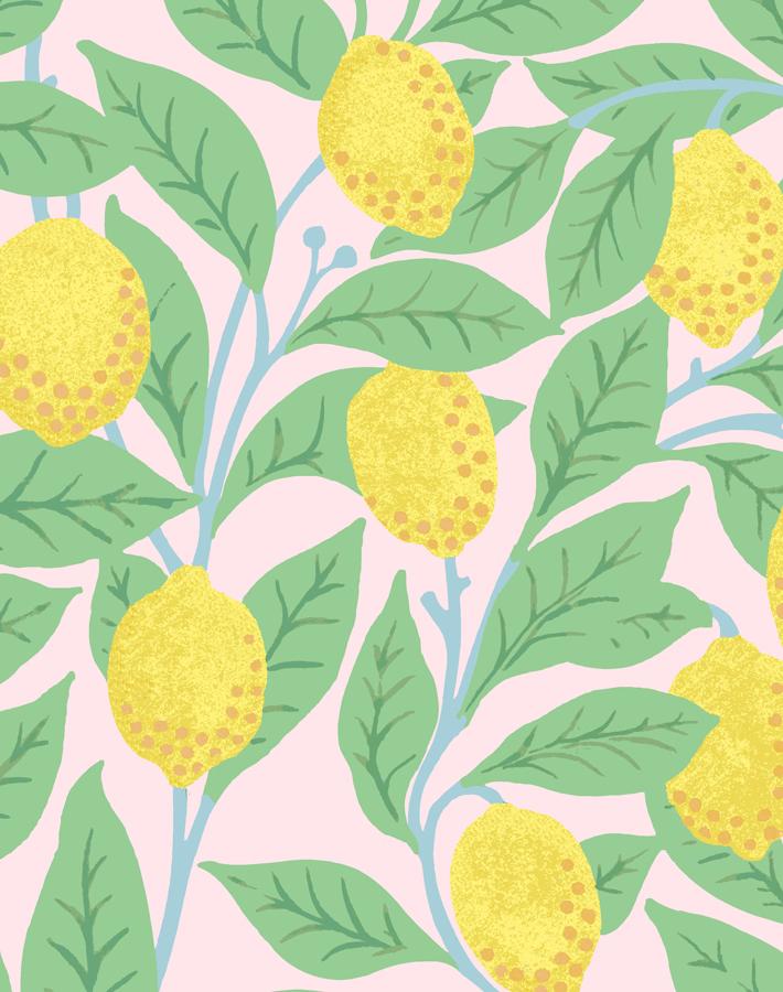 Stylish Pink Lemons Wallpaper by Nathan Turner - Perfect for Kitchen, Bathroom & Nursery Decor