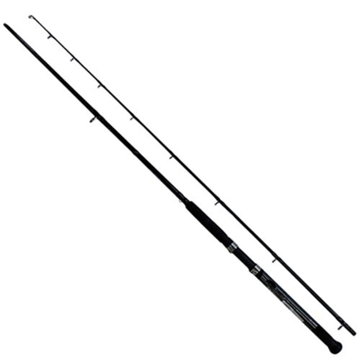 Daiwa Accudepth Medium Action Trolling Fishing Rod - 2-Piece Graphite Saltwater & Freshwater Rod for Bass, Walleye, Salmon - Perfect for Boat, Shore & Ice Fishing