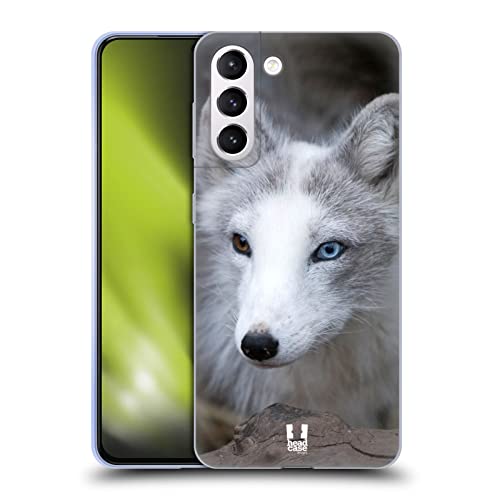 Coloured Eye Arctic Fox