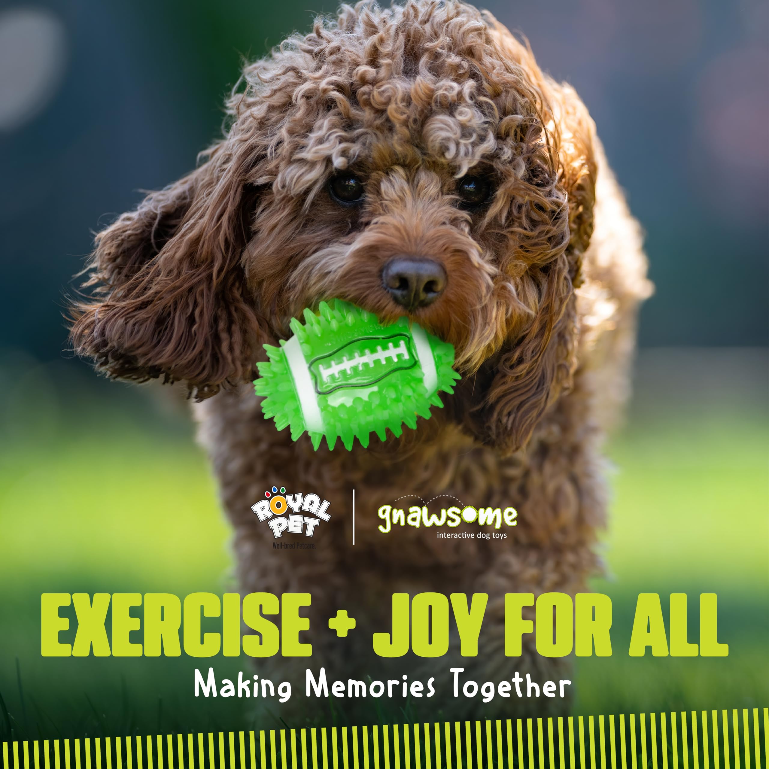 Durable Dog Chew Toys for Heavy Chewers - BPA-Free Football with Squeaker - Dental Care & Playtime Fun