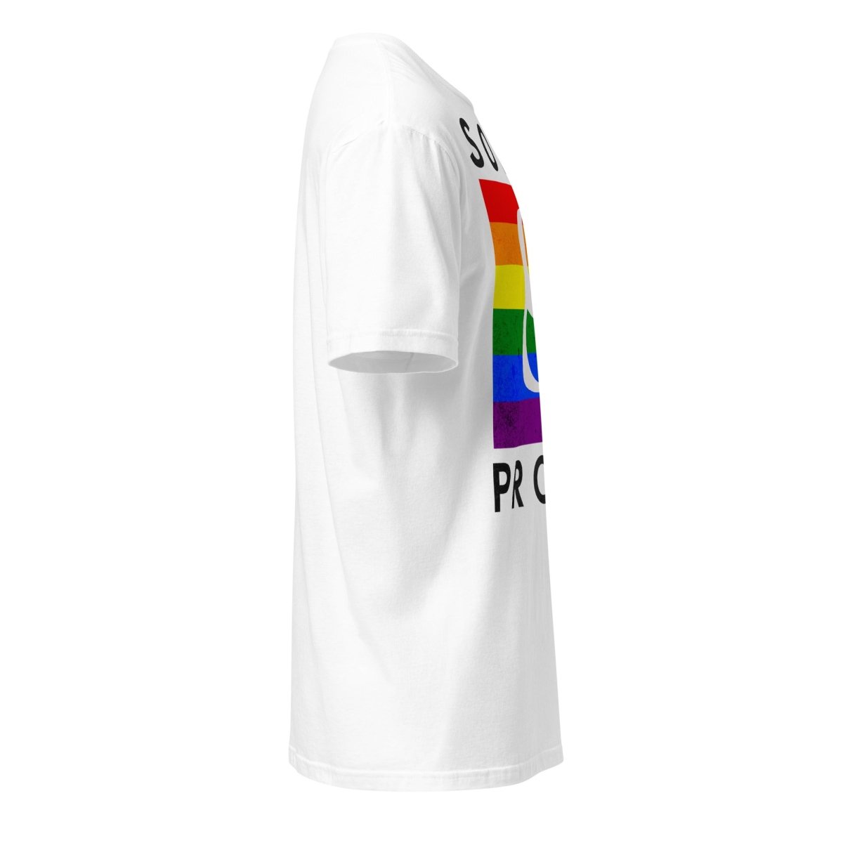 Sober & Proud Rainbow Resilience Essential T-Shirt - Comfortable Cotton Tee for Recovery Support & Pride Celebrations