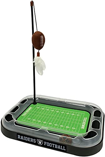 Los Vegas Raiders