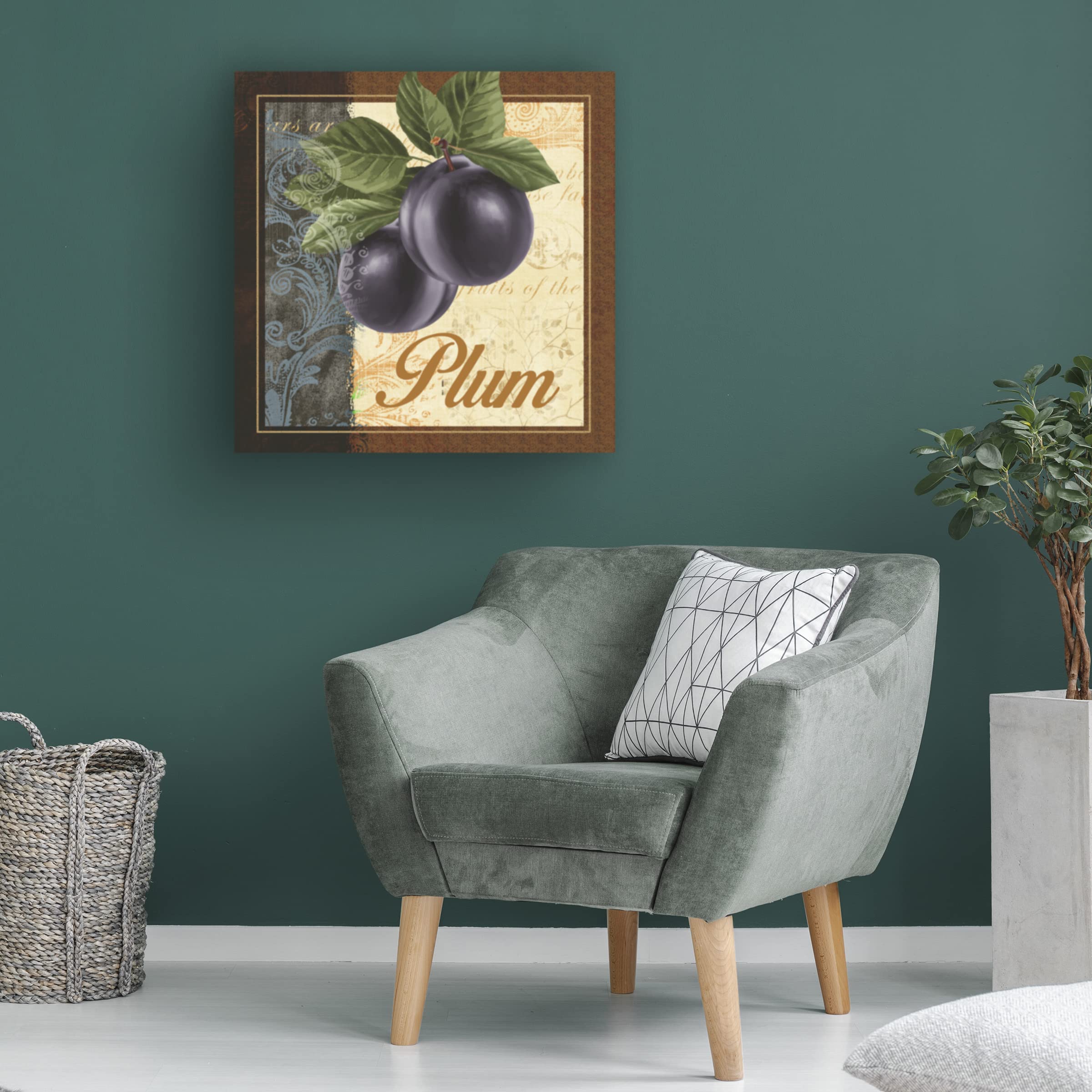 Abby White 'Fruit Illustration IV' Canvas Wall Art Print - Modern Kitchen Decor, Dining Room Painting, Fruit Still Life Artwork for Home & Office Decoration