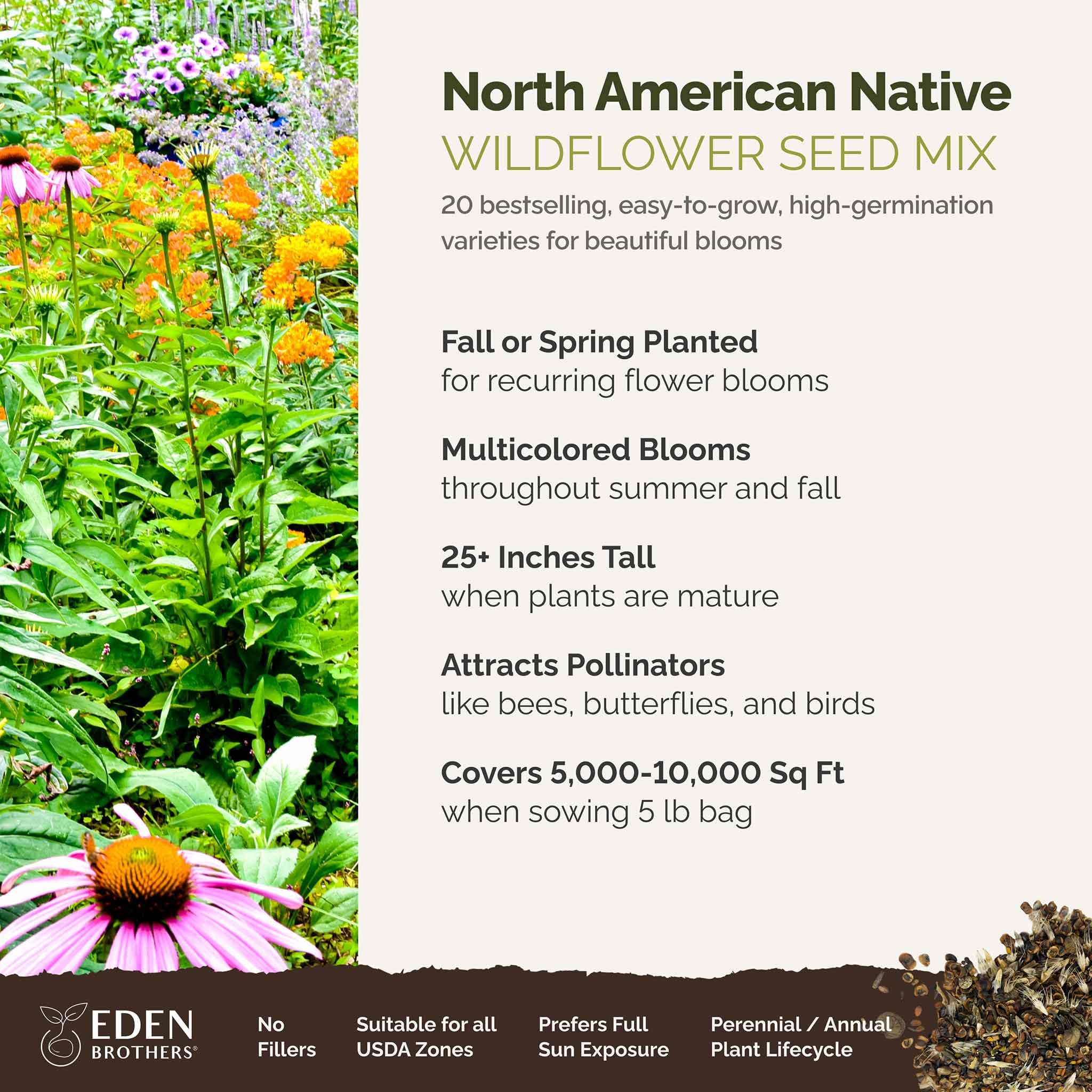Eden Brothers North American Native Wildflower Seeds Mix - 5 lb (2,400,000+ Seeds) with Bird's Eyes & Lupine - Attracts Pollinators, Bees & Butterflies - Perfect for Spring or Fall Planting in USDA Zones 3-10 - Ideal for Gardens, Meadows & Landscaping