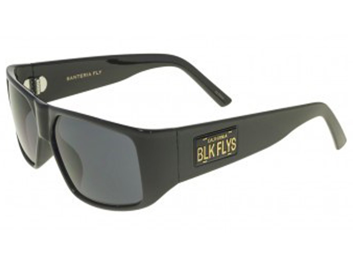 Black Flys Santeria Fly Sunglasses - Shiny Black Frame with Smoke Polarized Lens - California Plate Style for Men & Women - Perfect for Driving, Beach, and Outdoor Activities