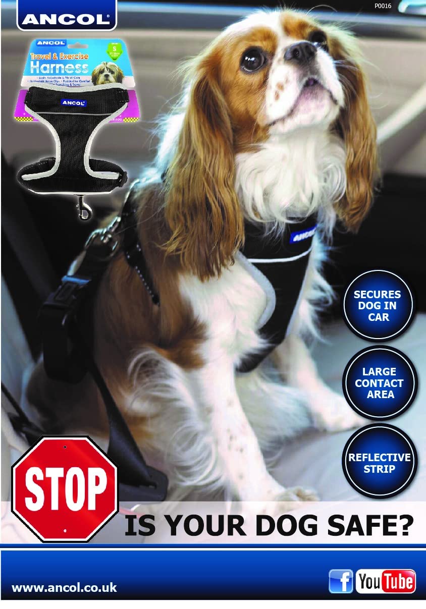 Best Adjustable Travel Dog Harness for Large Dogs (68-116cm) - Black - Perfect for Hiking, Camping & Outdoor Adventures