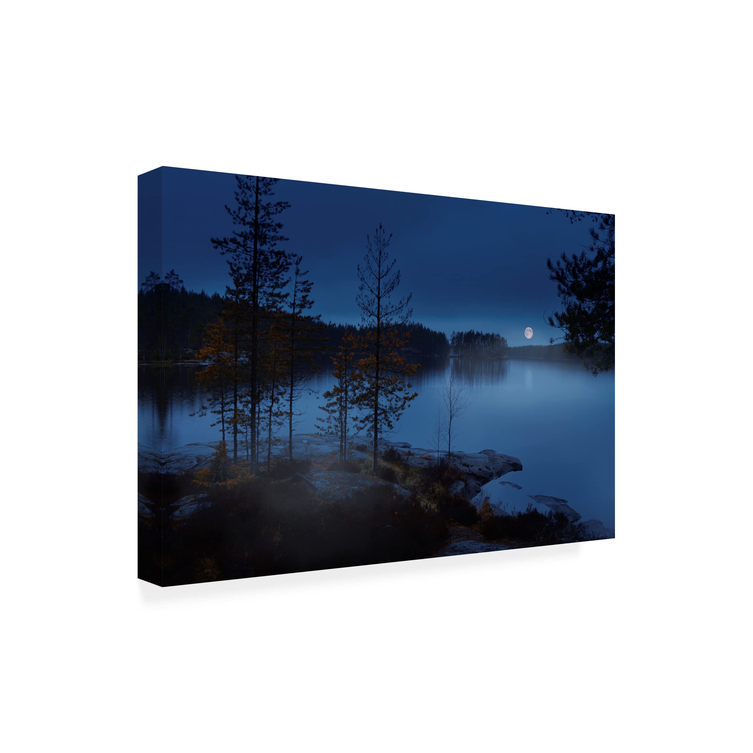 Trademark Fine Art 'Night Mist' Canvas Wall Art by Nikki Georgieva - Abstract Landscape Painting for Living Room, Bedroom & Office Decor