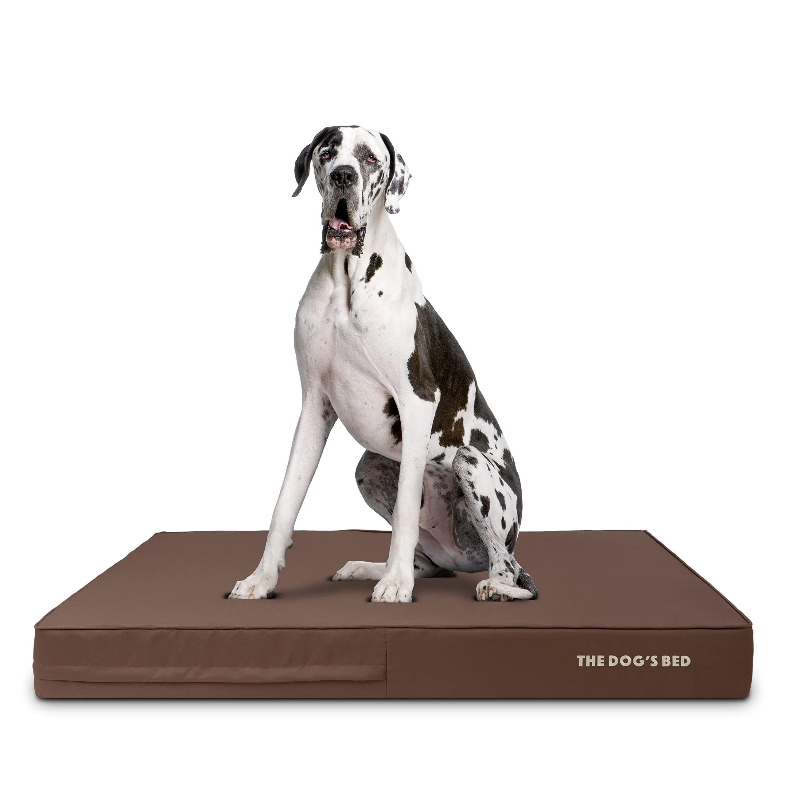 Orthopedic Memory Foam Dog Bed XXL (54x36 Inches) - Pain Relief for Arthritis, Hip & Elbow Dysplasia - Waterproof Washable Cover - Ideal for Large Dogs with Joint Issues, Post-Surgery Recovery & Calming Comfort - Perfect for Living Rooms, Bedrooms & Pet-Friendly Spaces