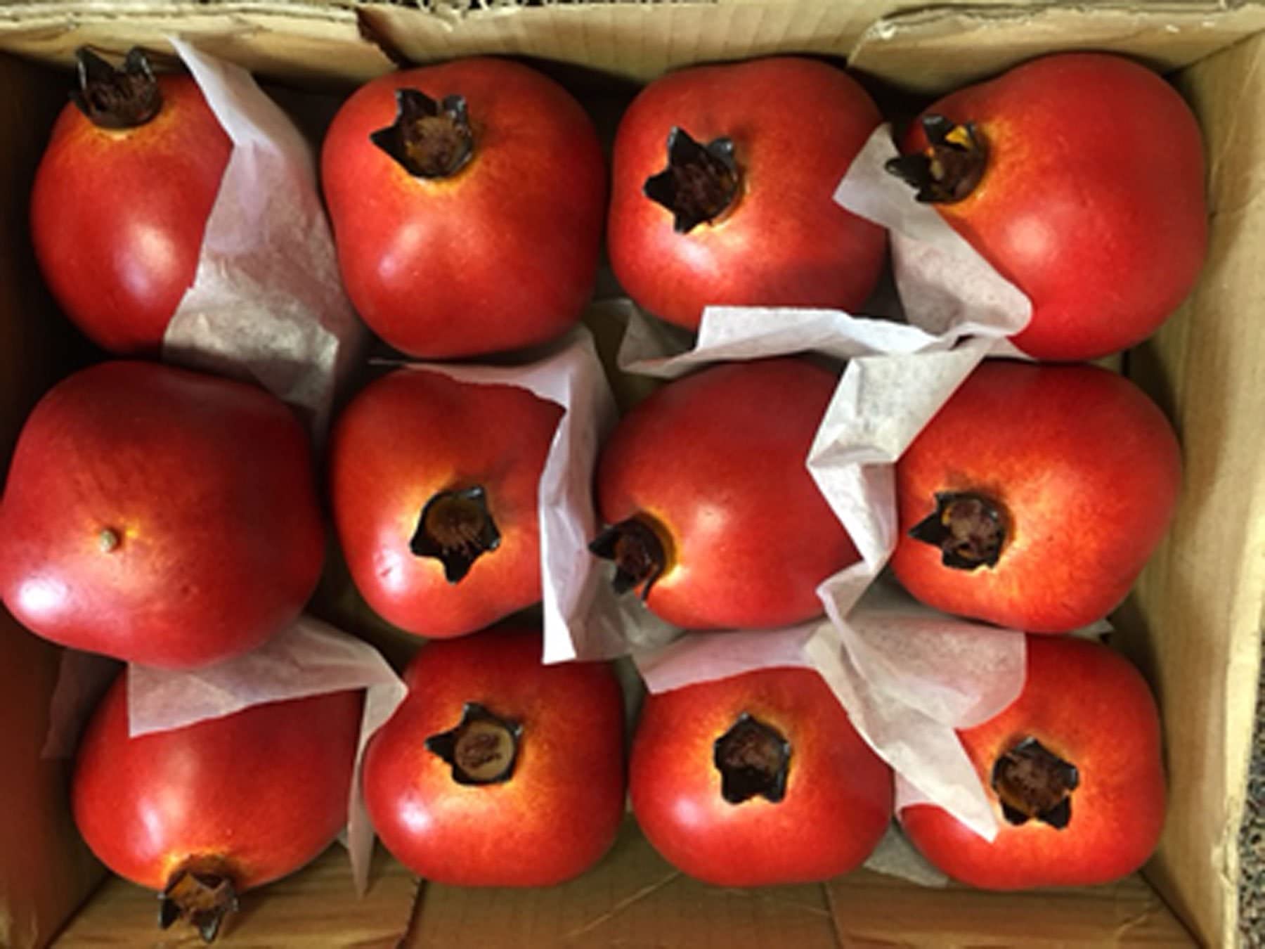 12 Pack Artificial 3.25 Inch Pomegranate Decor - Realistic Fake Red Fruit for Home Decor, Table Centerpiece, Wedding & Party Decoration