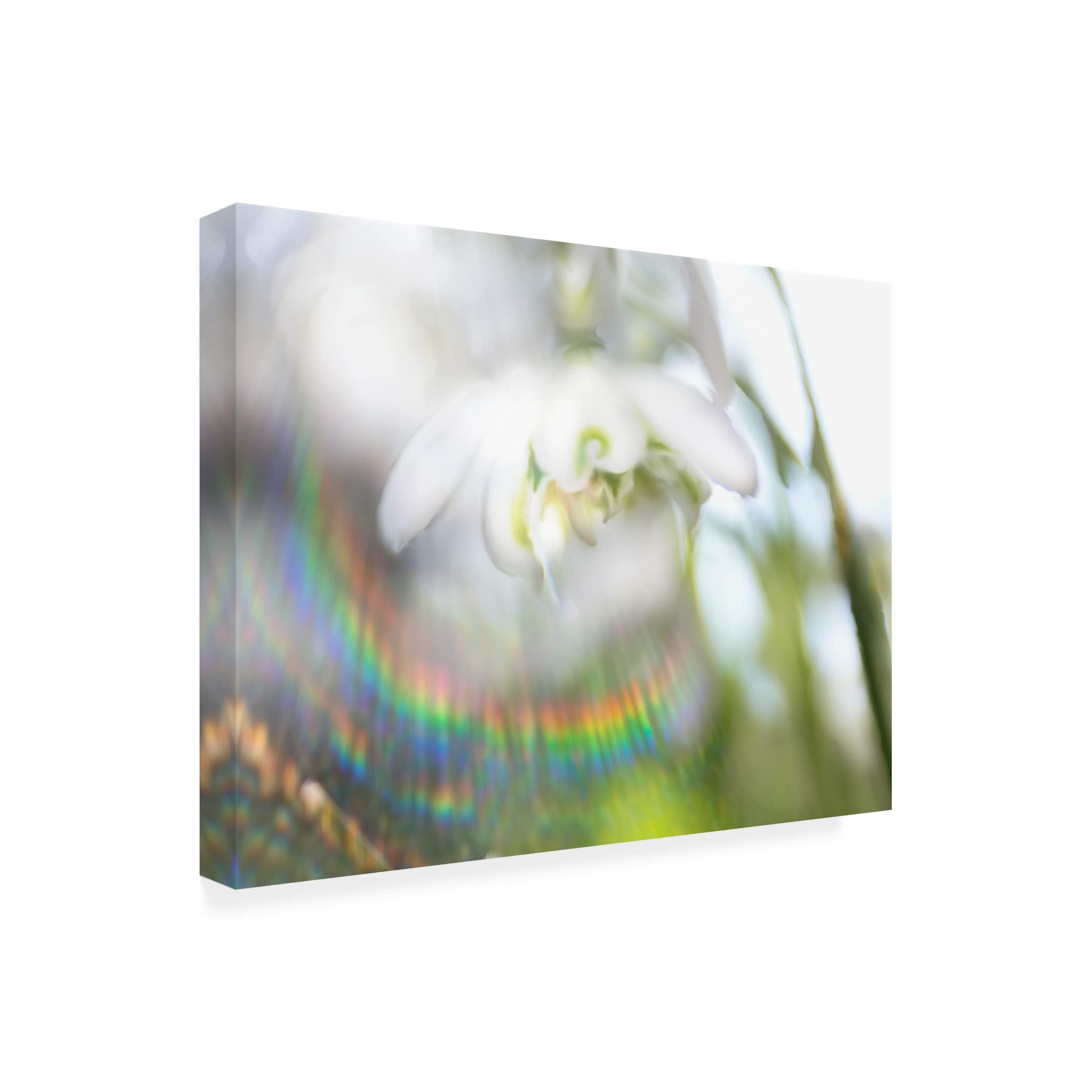 Glorious in Rainbow II Canvas Wall Art by Gillian Hunt - Vibrant Abstract Painting for Living Room, Bedroom & Office Decor