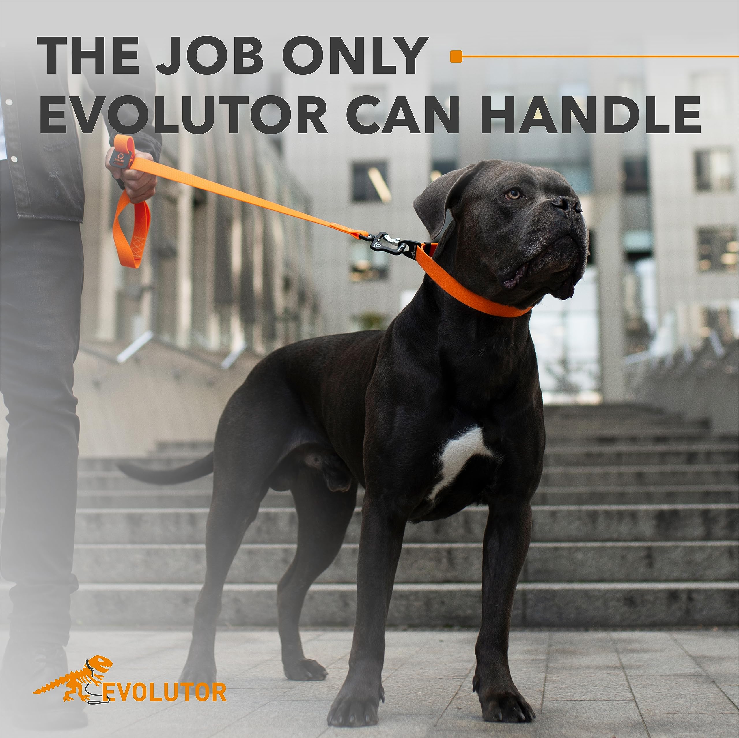 COLLAR Evolutor Extra Heavy Duty 10 Ft Dog Leash - Durable & Strong Leash for Large, Medium & Small Breed Dogs - Reflective Walking Pet Leash (Orange) - Perfect for Training, Hiking & Outdoor Adventures