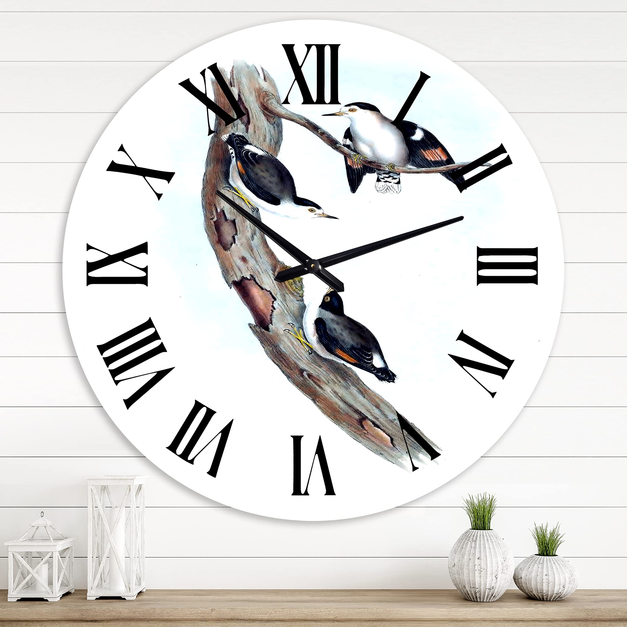 Vintage Australian Bird Illustrations Wall Clock - Large Traditional Wall Clock with Animal Art for Bedroom, Living Room, Office Decor | Perfect Gift for Nature Lovers & Home Decor Enthusiasts