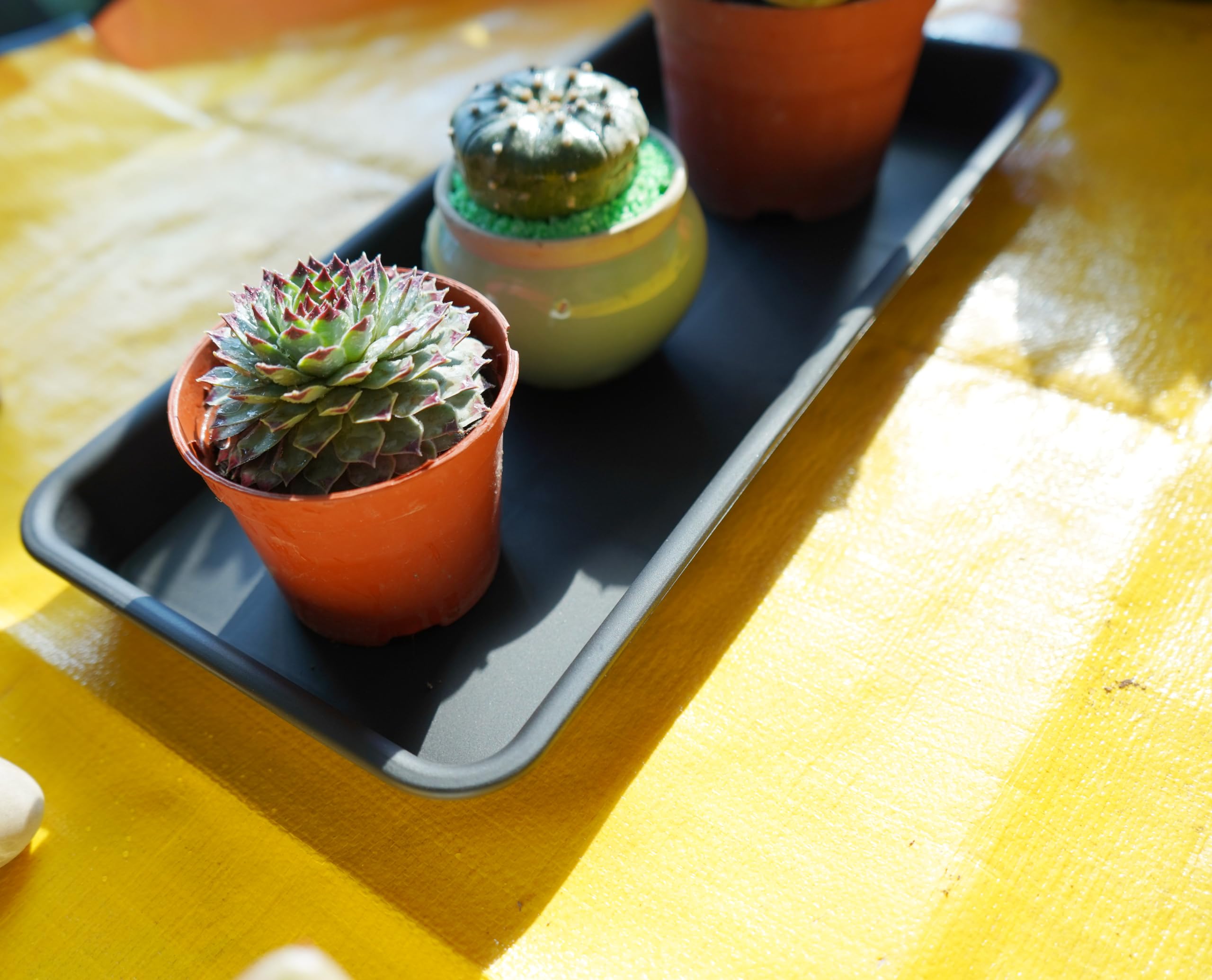 **Rectangle Plant Tray - Drip Tray & Pot Saucer for Indoor/Outdoor Plants | Seed Germination Tray | Perfect for Gardening, Greenhouses & Home Decor**