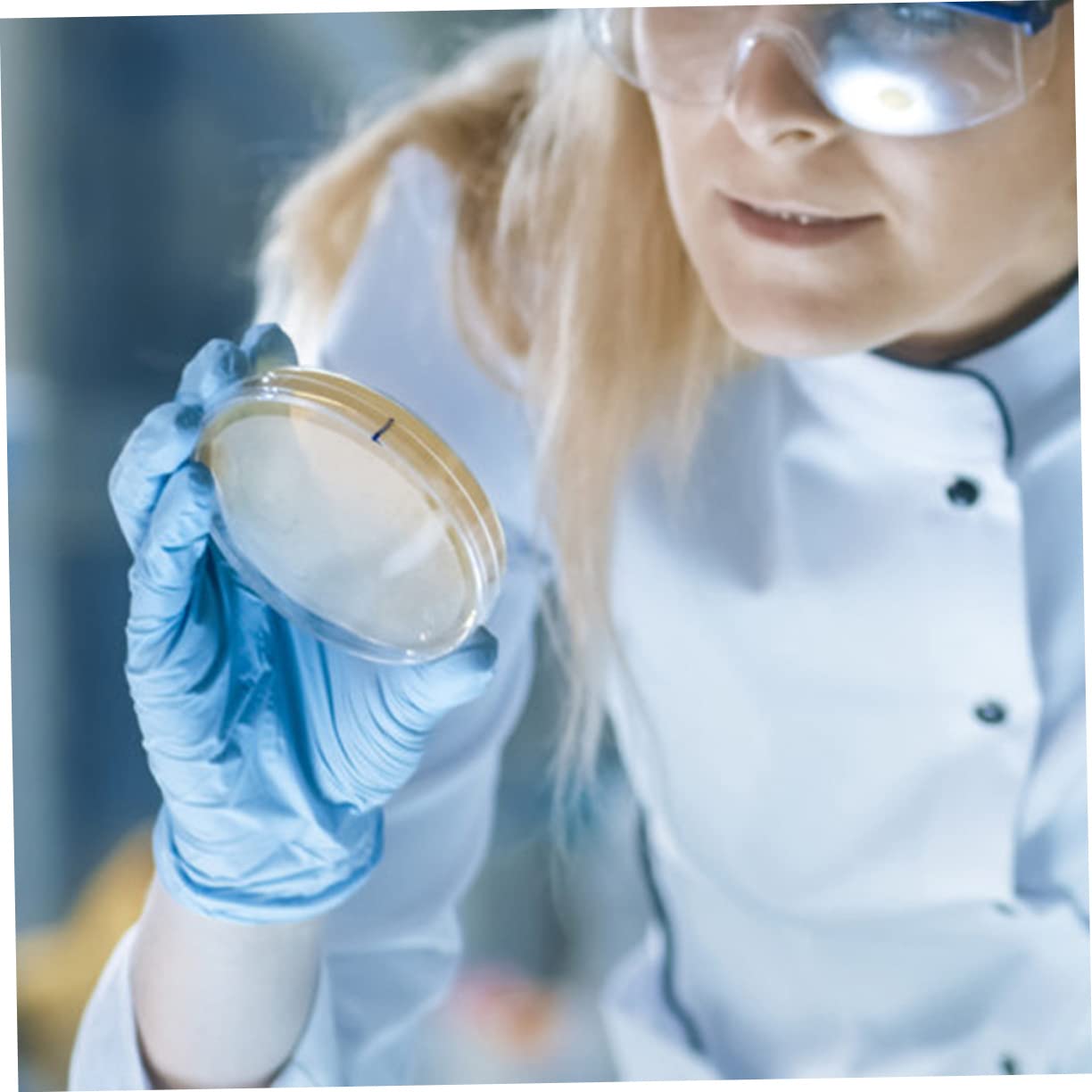 30 Pcs Nutrient Agar Petri Dishes for Mushroom Tissue Culture | Lab-Grade Agar Plates for Microbiology Experiments | Perfect for Classroom Labs, Home Science Kits & Kids STEM Projects