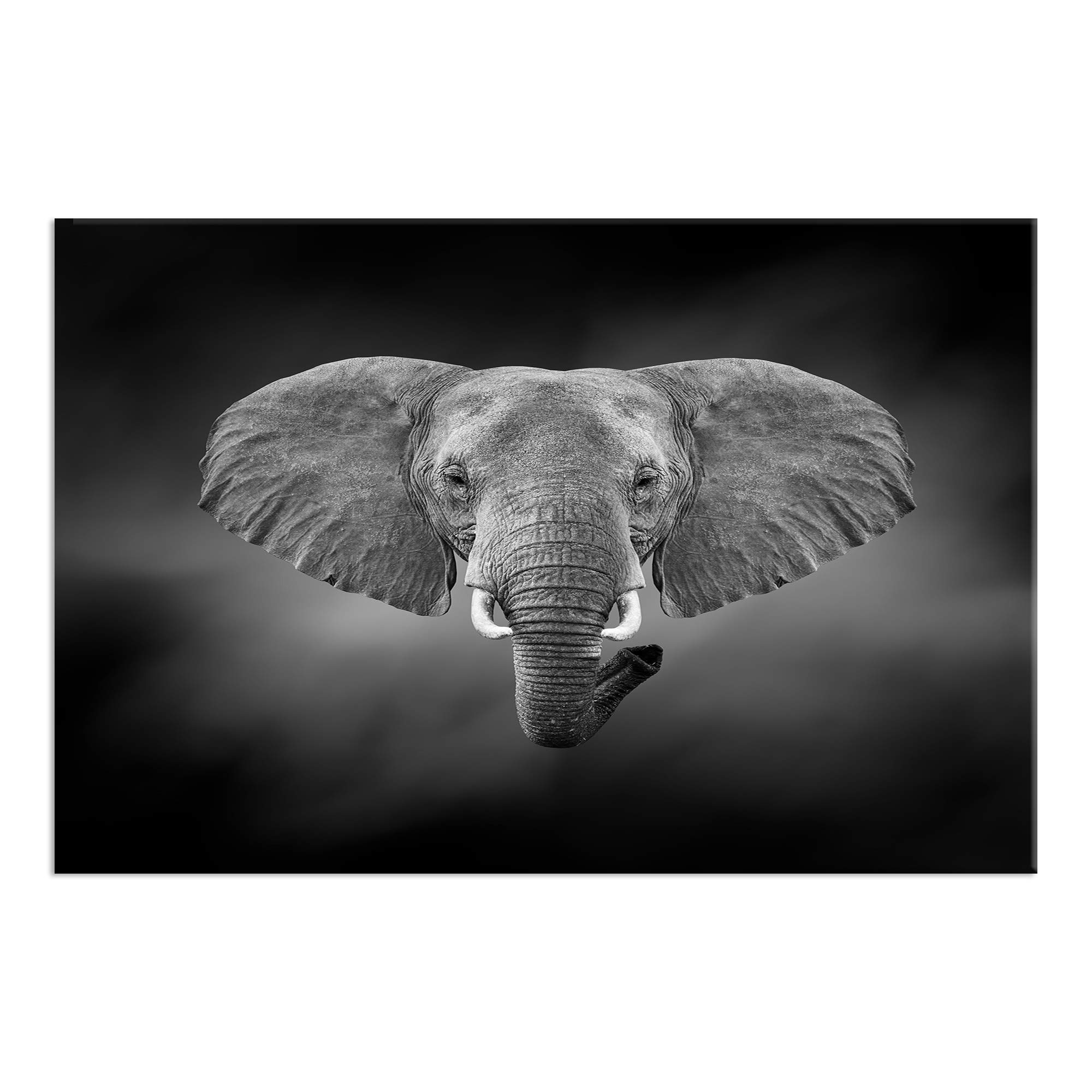 Black and White Elephant Canvas Wall Art - Framed Animal Print HD Picture for Living Room & Home Decor - Ready to Hang - Perfect for Nursery, Bedroom or Office Wall Decoration