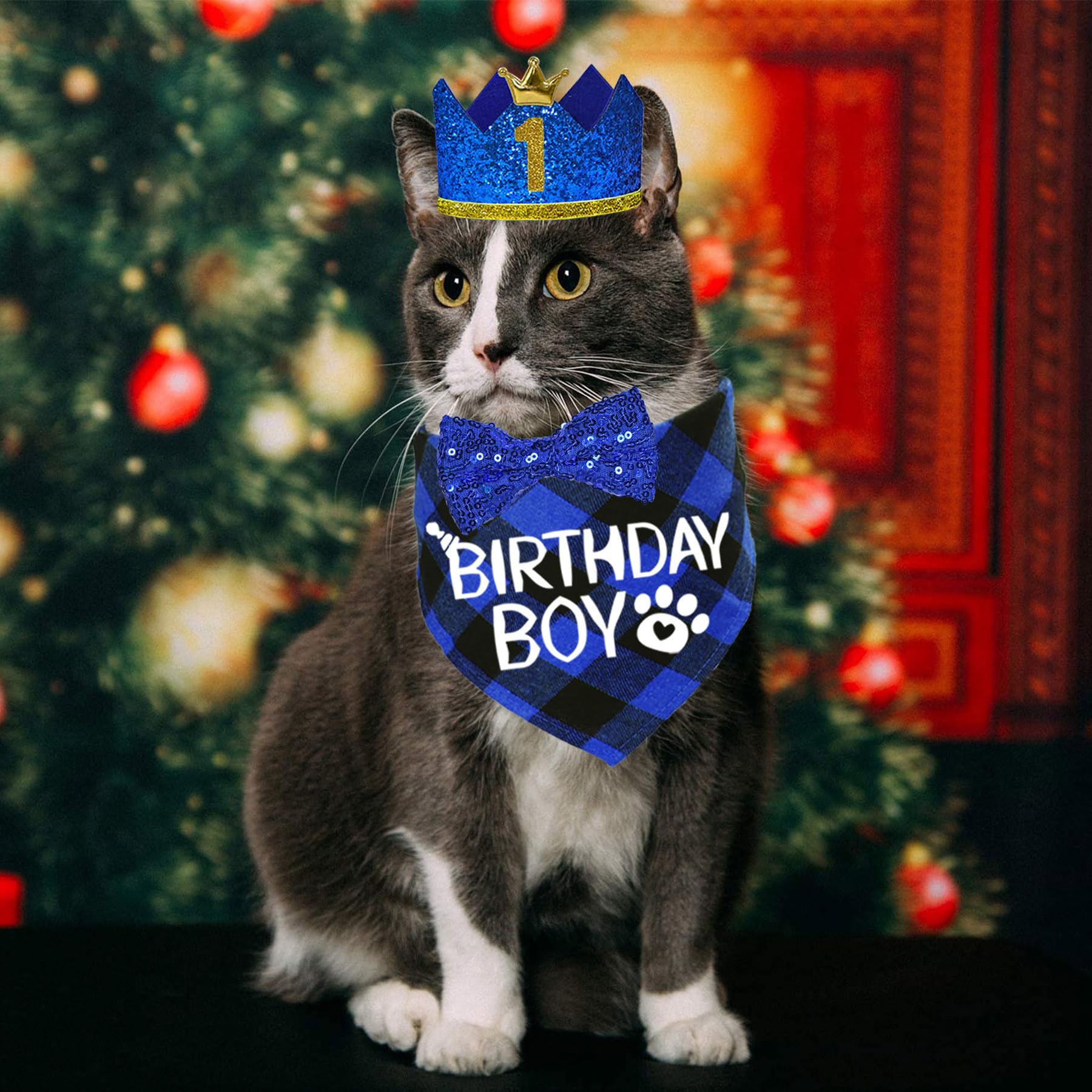 STMK Cat Birthday Party Supplies Set - Cat Birthday Hat with Numbers, Bandana & Bow Tie for Birthday Boy - Perfect for Cat Birthday Decorations & Themed Parties