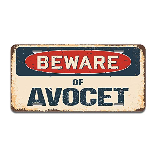 Beware of Avocet