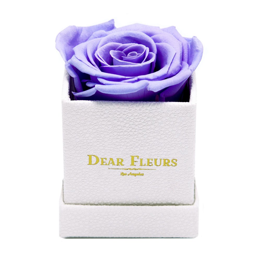 Petit Rose | Real Preserved Roses That Last 1 Year | Luxury Gift Box with Lavender & White Leather Finish | Perfect for Anniversaries, Valentine's Day & Romantic Gifts