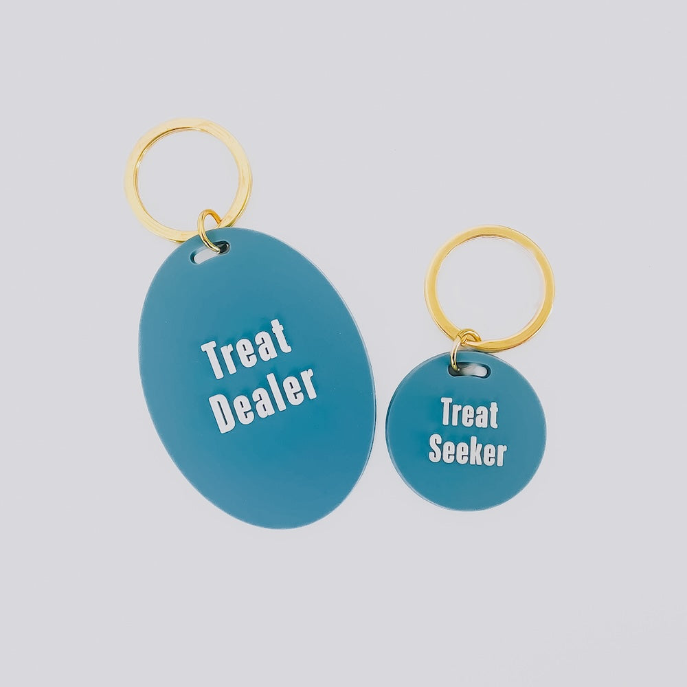Gus & Co Personalized Dog Tag and Keychain Set - Engraved Pet ID & Key Ring for Dogs, Cats - Perfect for Pet Safety, Gifts, and Everyday Use