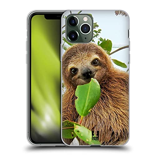 Three Toed Sloth