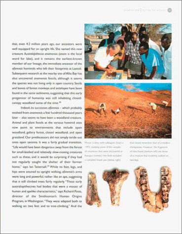 Dawn of Man: The Story of Human Evolution - Perfect for History Buffs, Science Enthusiasts & Classroom Learning