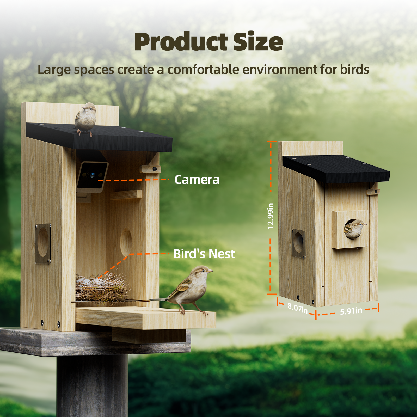 Campark BH10 3MP Smart Wooden Bird House with Camera - HD Night Vision, Two-Way Audio, Waterproof Design for Bird Watching & Wildlife Monitoring in Your Backyard