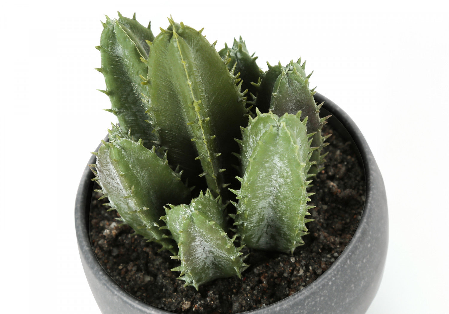 6 Pack Succulent Plants in Grey Pots - Set of 3 Live Indoor Houseplants for Home Decor, Office Desk, or Gift