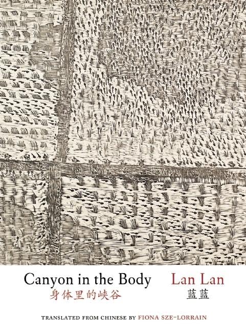 Canyon in the Body (Jintian) - Premium Fitness Apparel for Yoga, Running & Gym Workouts | Comfortable & Stylish Activewear