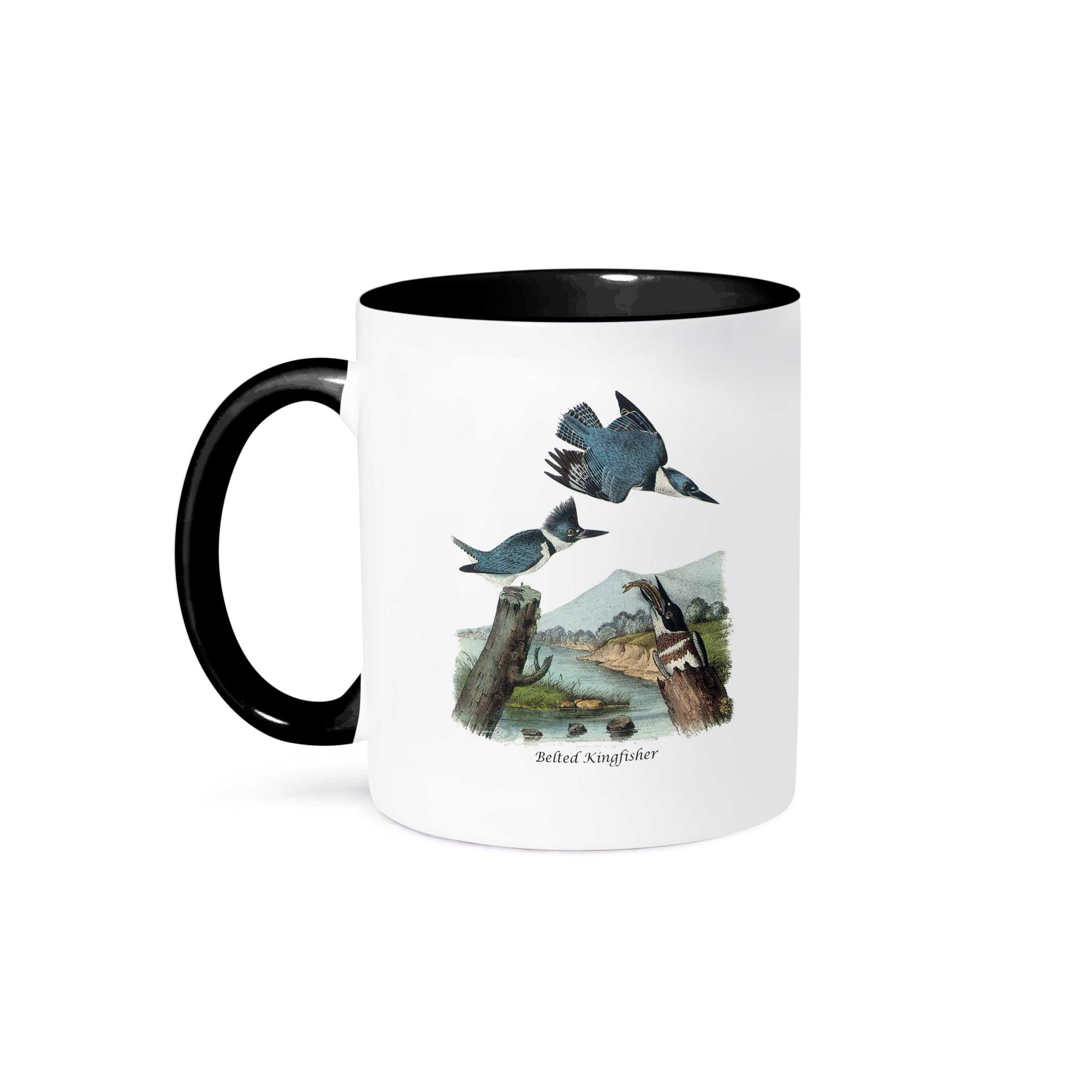 3dRose 11oz Belted Kingfisher Coffee Mug - John James Audubon Collection - Funny Gift for Bird Lovers & Coffee Enthusiasts - Perfect for Home, Office & Outdoor Use
