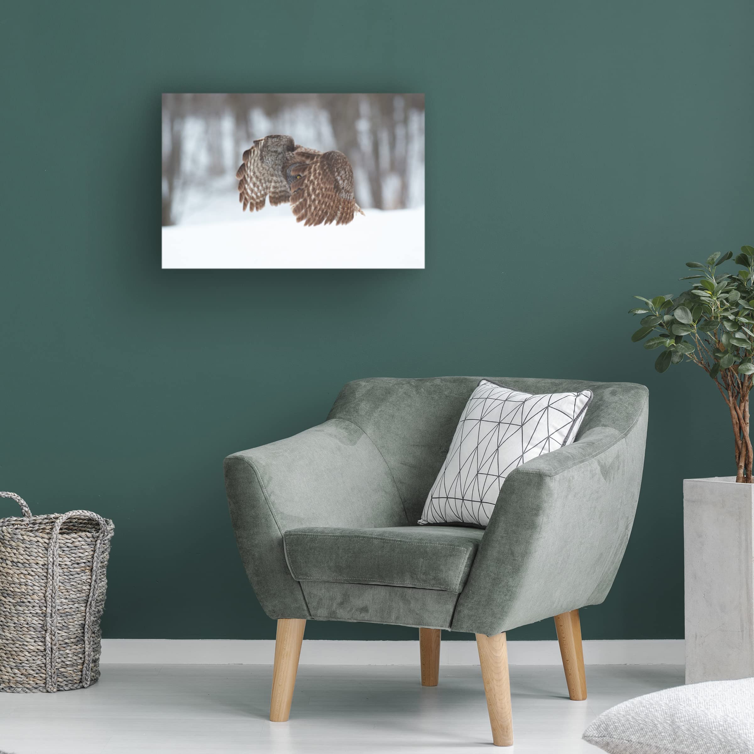 Jim Luo 'Great Grey Owl 2' Canvas Wall Art Print - Premium Wildlife Home Decor for Living Room, Bedroom & Office