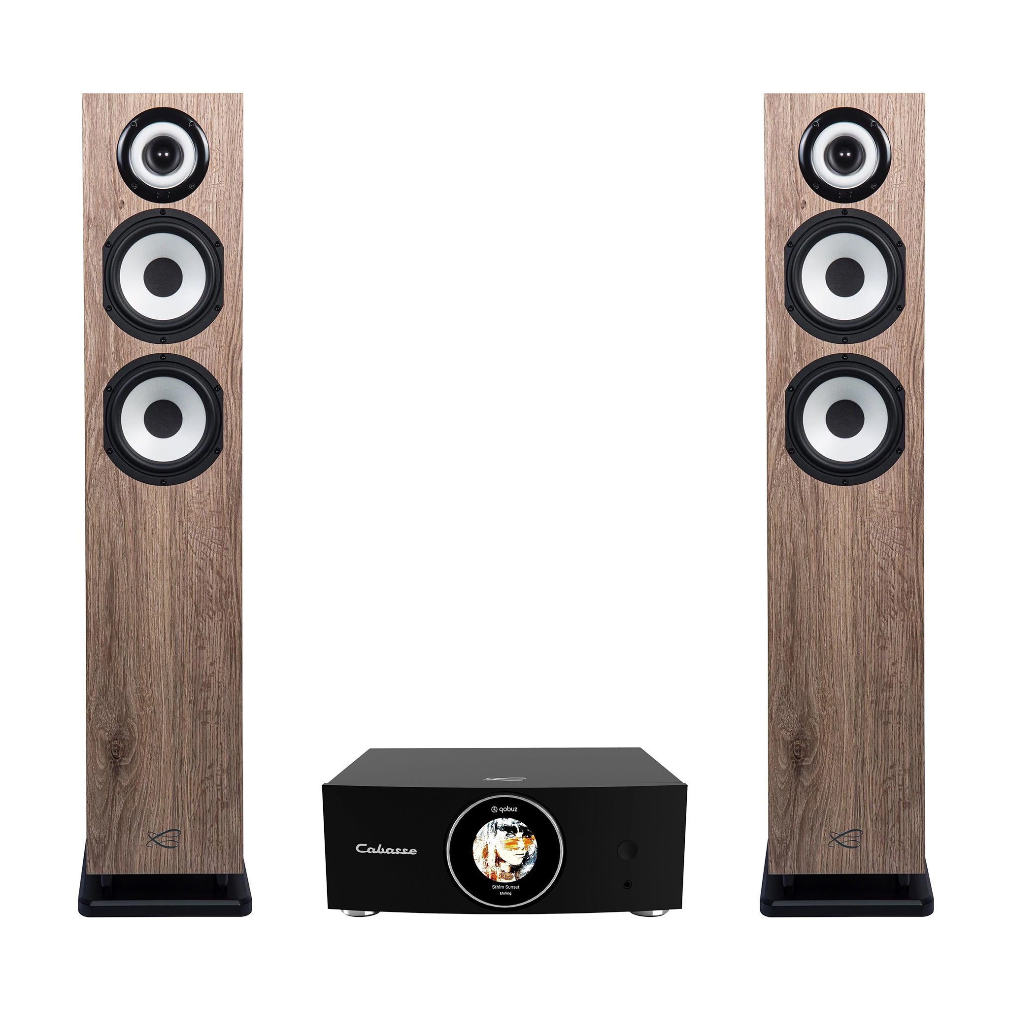Cabasse ABYSS Wireless Amplifier & Java MC40 Floorstanding Speakers - Premium Hi-Fi Audio System for Home Theater & Music Listening